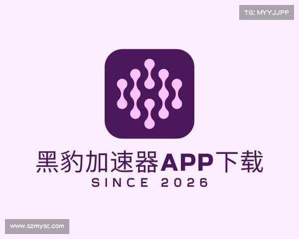 介绍黑豹加速器app下载